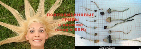 мдма Бородино